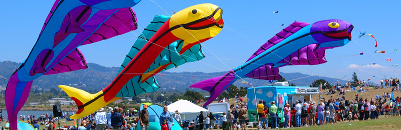 berkeley kite festival 